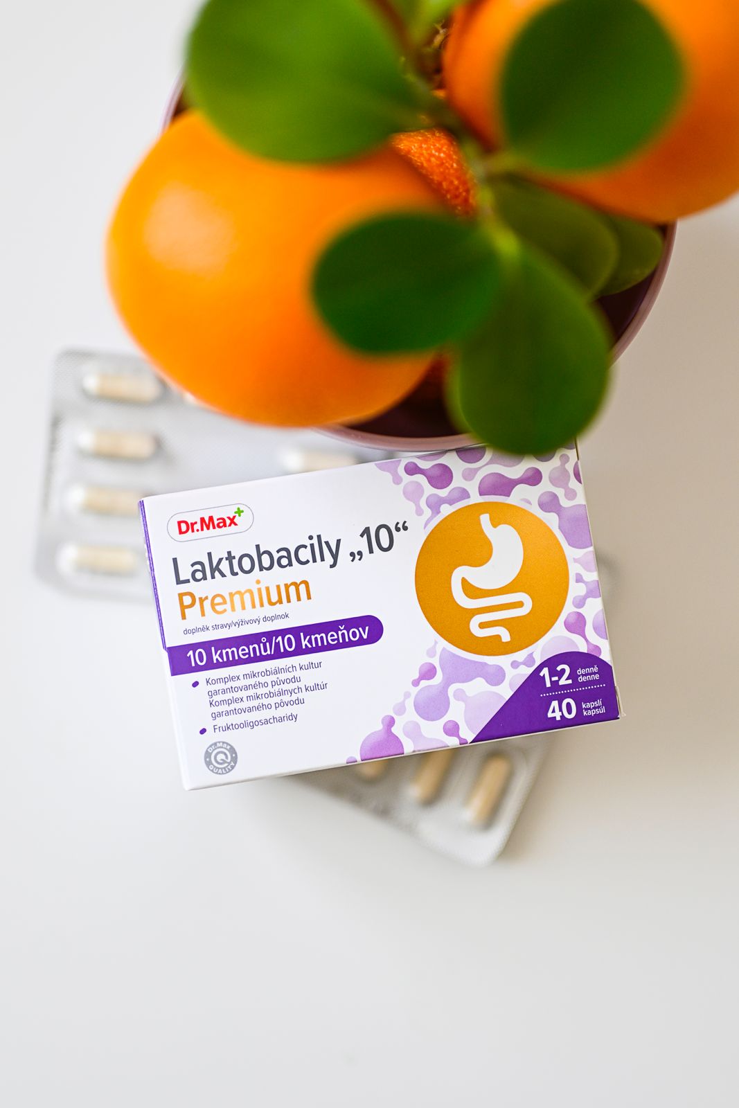 lactobacily